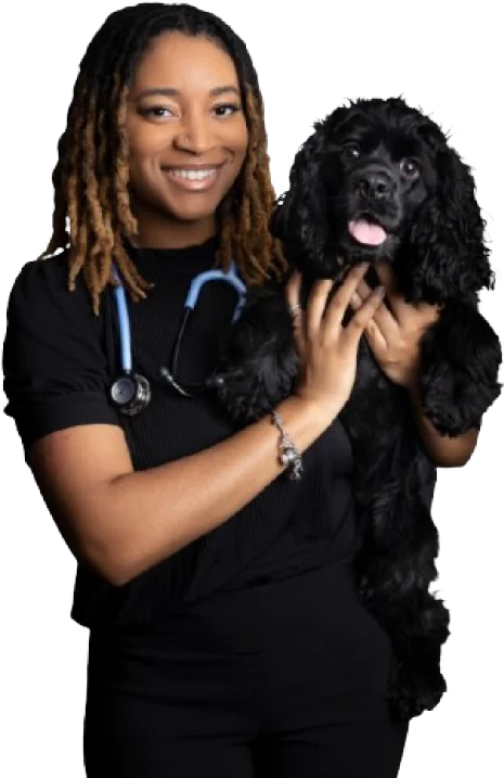 Book veterinary care with Pettify